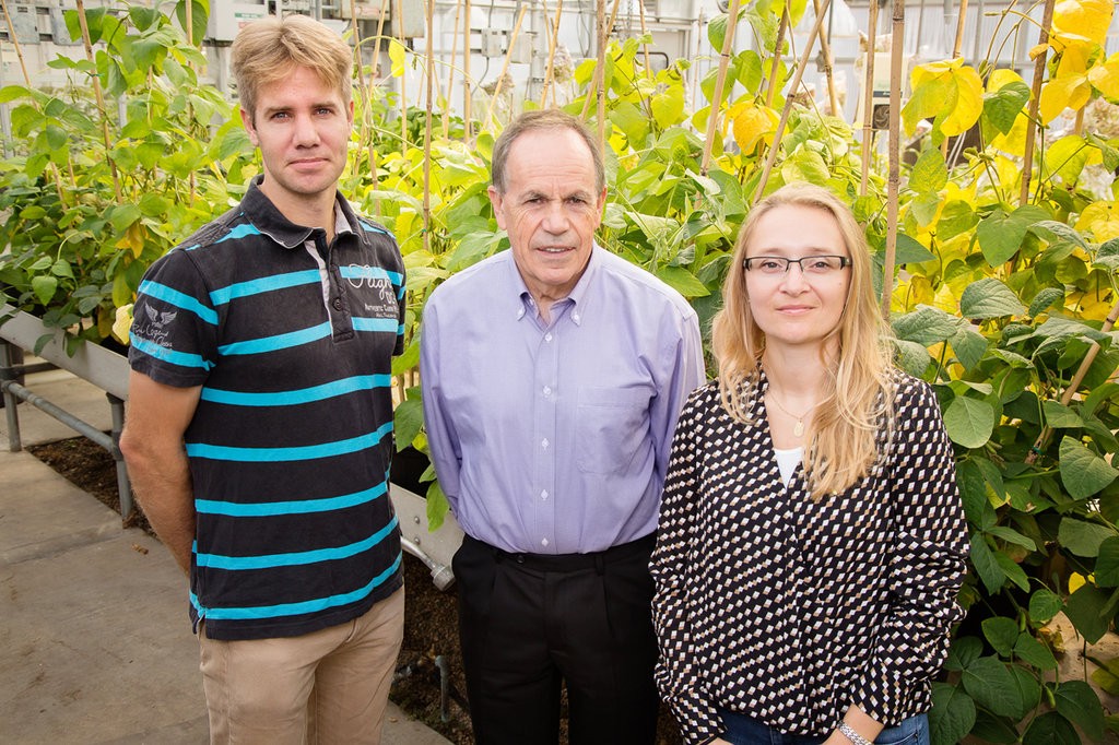 Research team