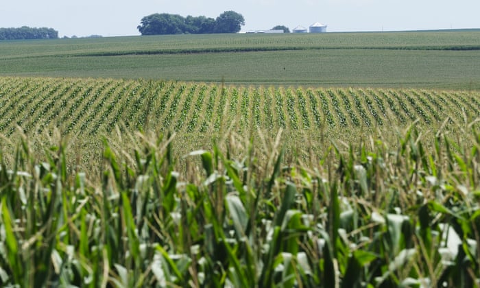 Crops