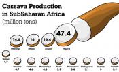 cassava graphic 