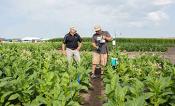 Paul South and Don Ort stand in a field trial.
