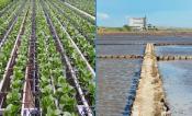 Drought Solutions 