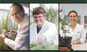 2024 Clarivate Highly Cited Researchers in yellow text on a grey background. Three pictures of scientists (one man, two women) are in the middle of the page with the RIPE project logo at the bottom.