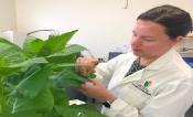 Dr Tory Clarke 