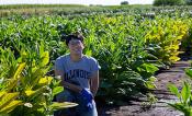 Young Cho kneels surrounded by plants in a field trial